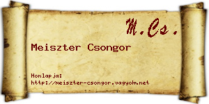 Meiszter Csongor névjegykártya